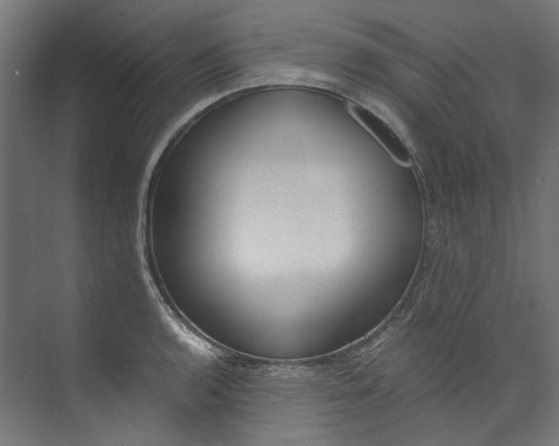 X0000073471136200608181324