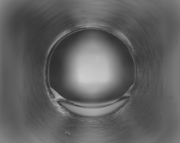 X0000073471138200608181324