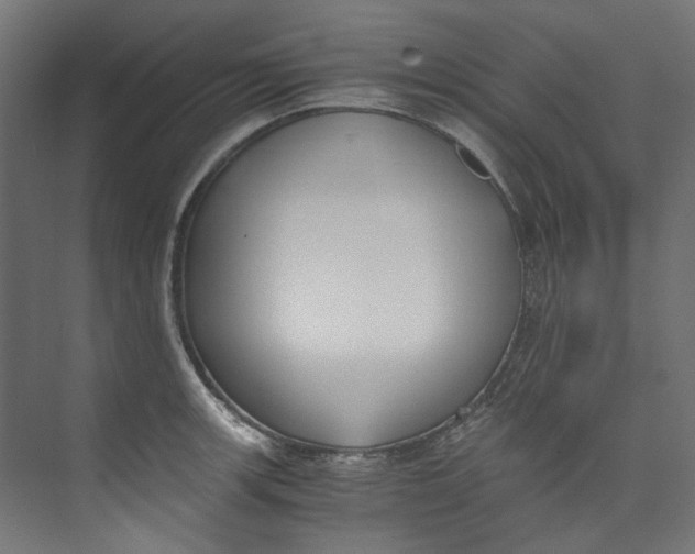 X0000073471139200608181324