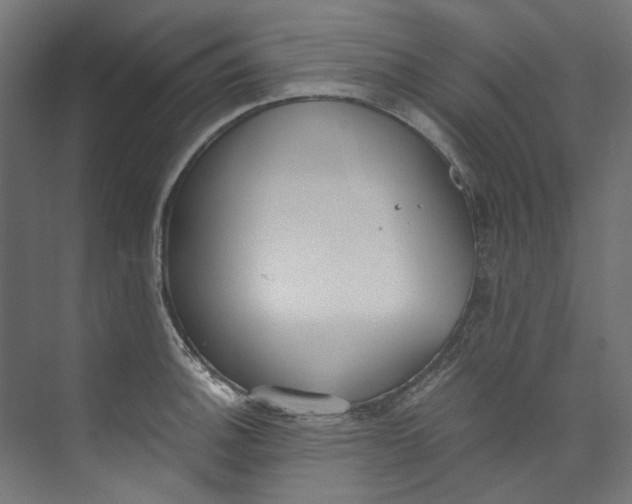 X0000073471140200608181324