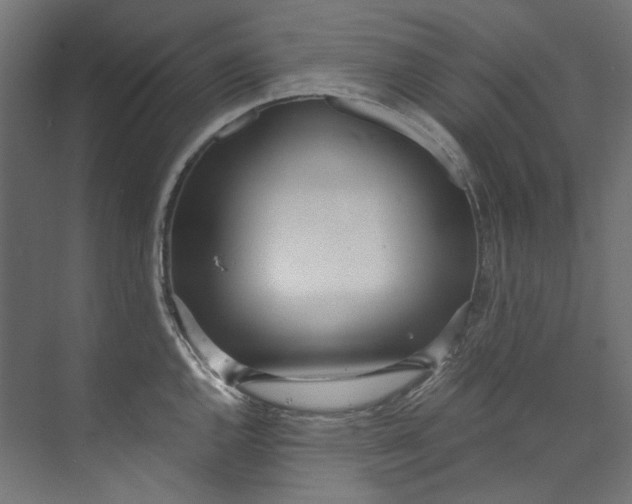 X0000073471144200608181324