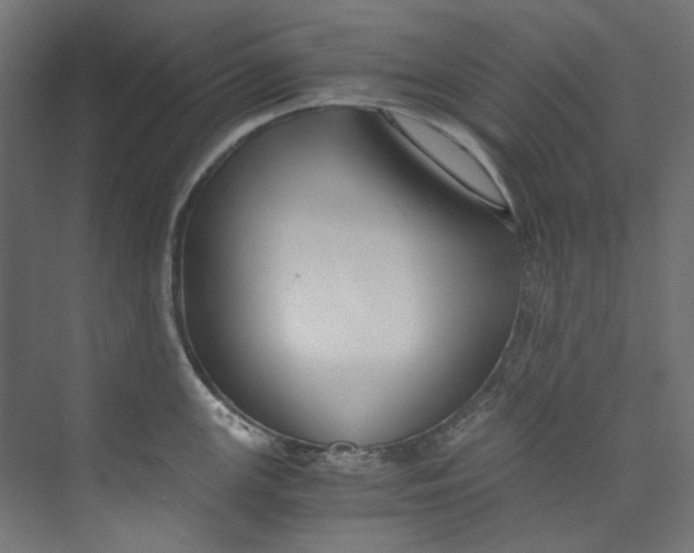 X0000073471147200608181324