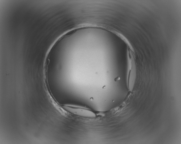 X0000073471148200608181324