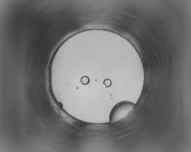 X0000073471150200608181324