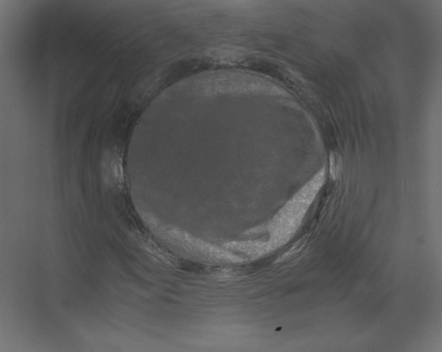 X0000073471155200608181324