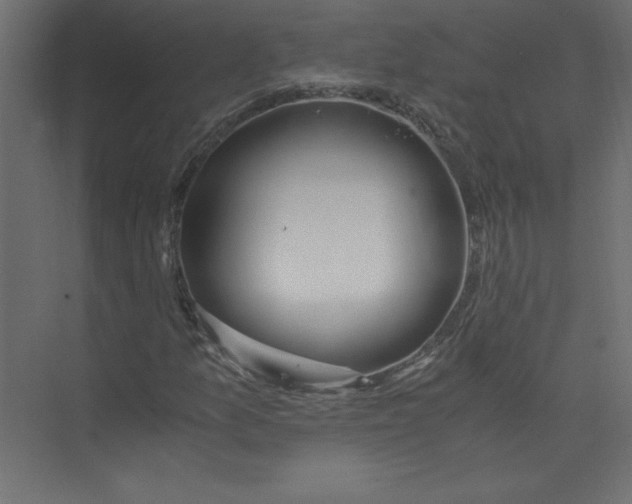 X0000073471157200608181324