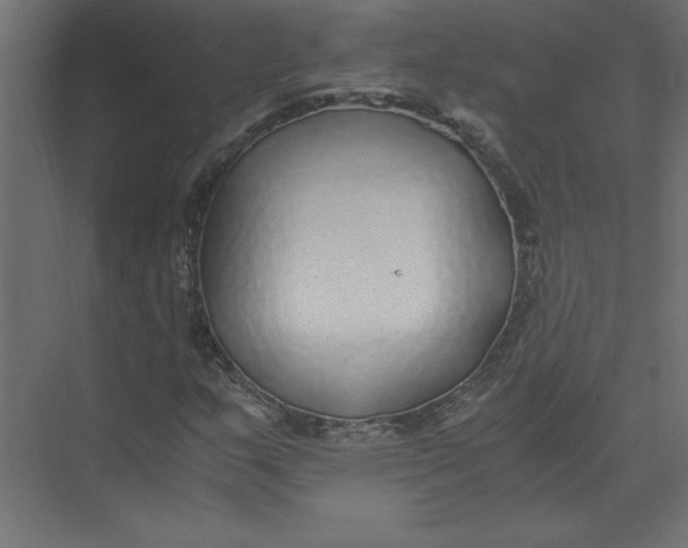 X0000073471159200608181323