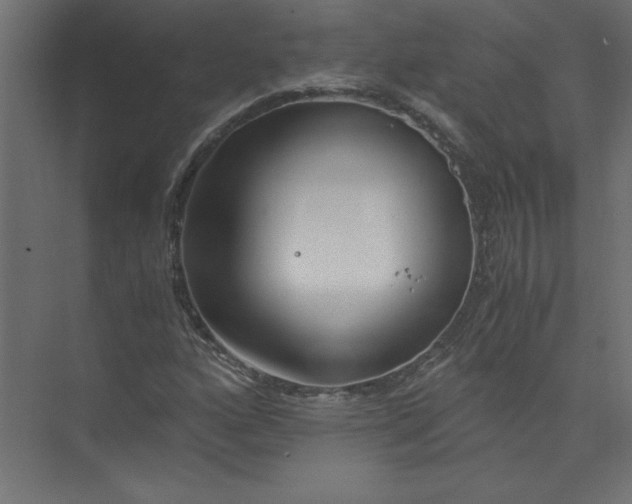 X0000073471160200608181323