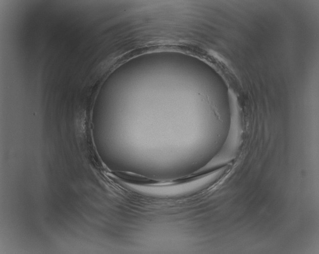 X0000073471161200608181323