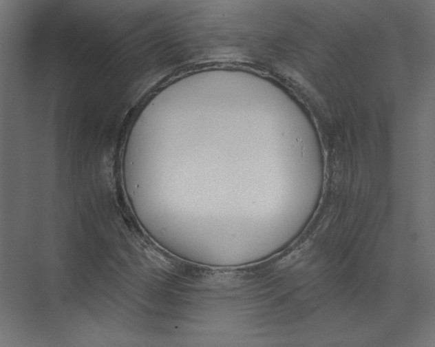 X0000073471162200608181323