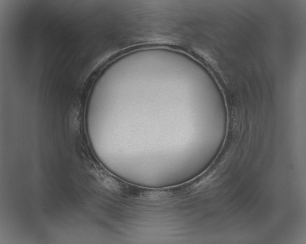 X0000073471163200608181323