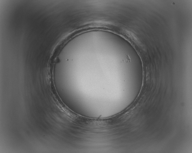 X0000073471164200608181323