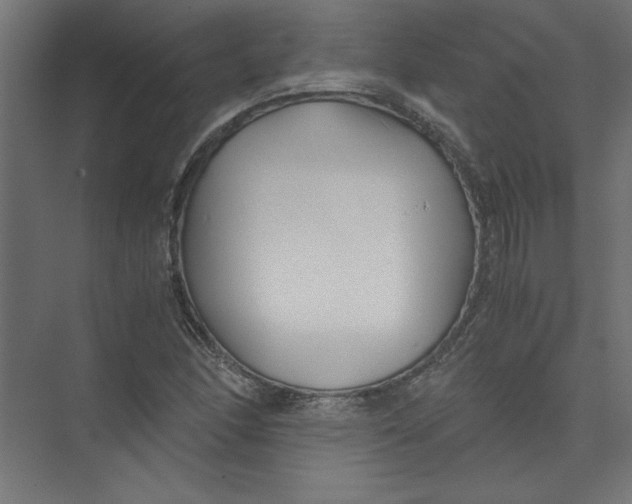 X0000073471166200608181323