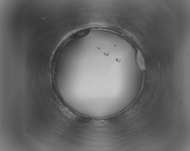 X0000073471168200608181323