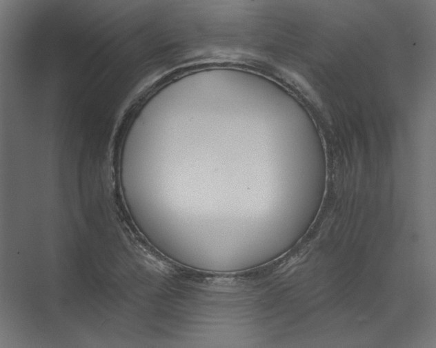 X0000073471172200608181323