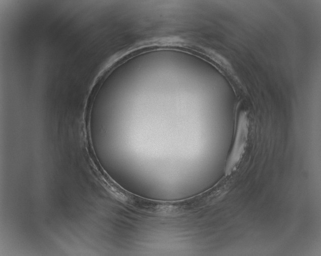 X0000073471176200608181323