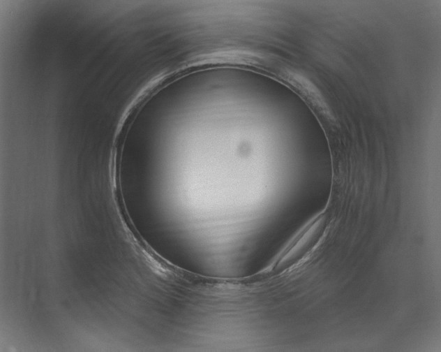 X0000073471180200608181323