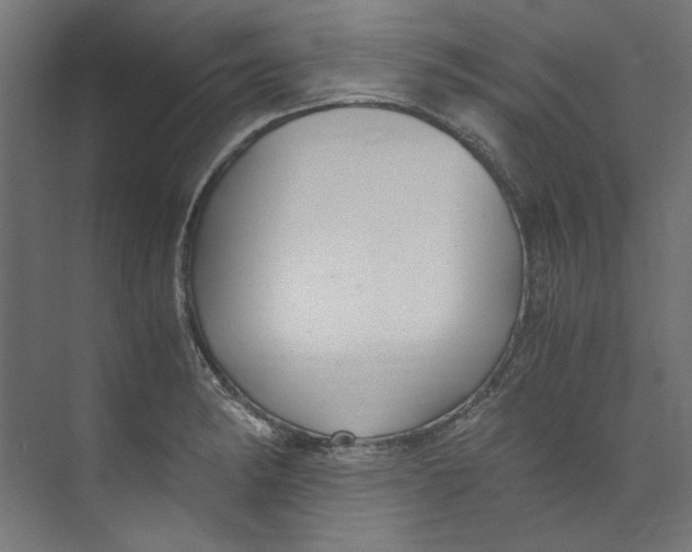 X0000073471182200608181323