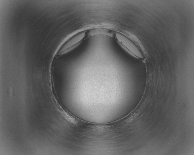 X0000073471184200608181323