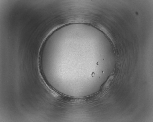 X0000073471187200608181323