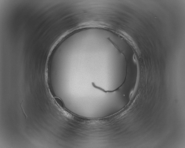 X0000073471188200608181323