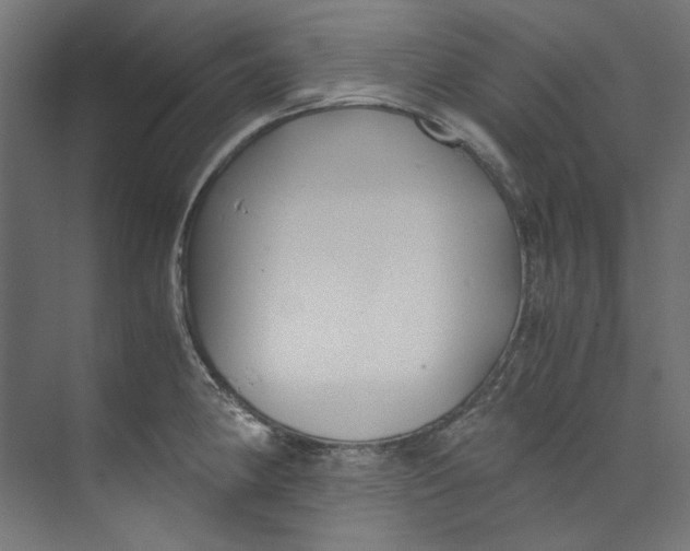 X0000073471190200608181323