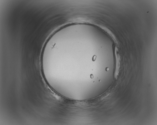 X0000073471191200608181323