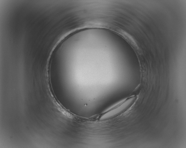 X0000073471192200608181323