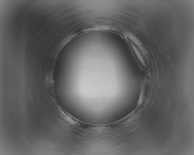 X0000073471193200608181323