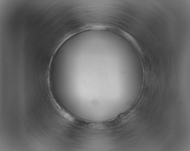 X0000073471194200608181323