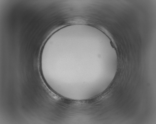 X0000073471195200608181323