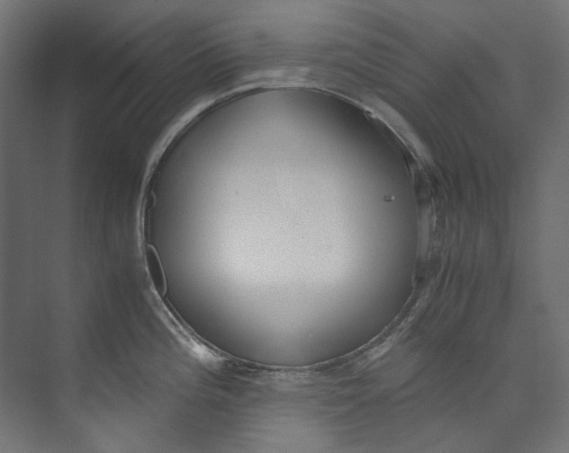 X0000073471196200608181323