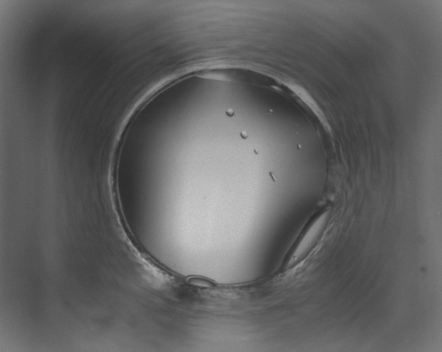 X0000073471197200608181323