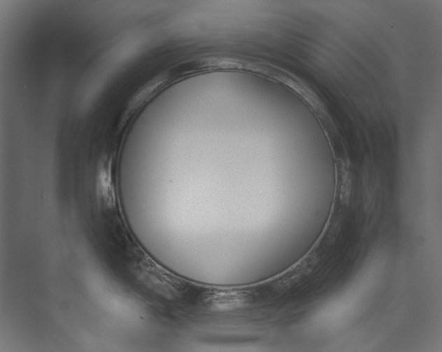 X0000073471198200608181323