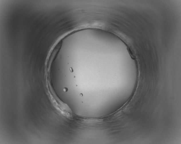 X0000073471200200608181323