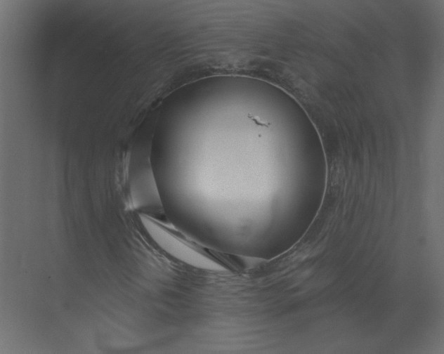 X0000073471202200608181322