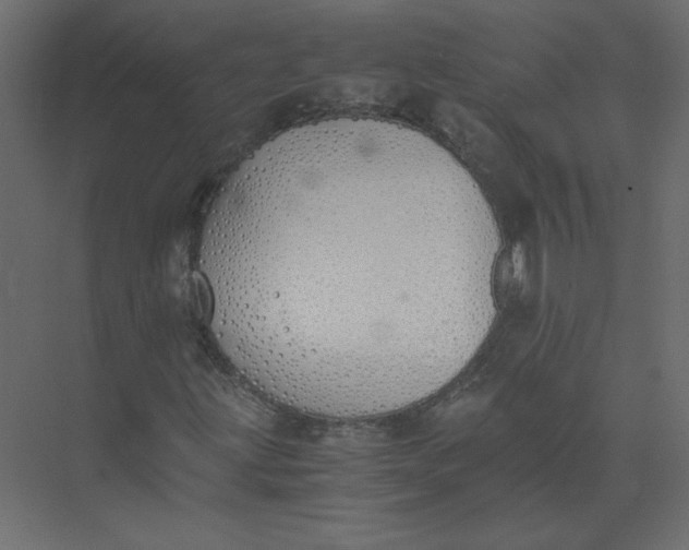 X0000073471203200608181322