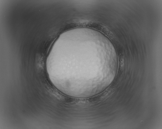 X0000073471204200608181322