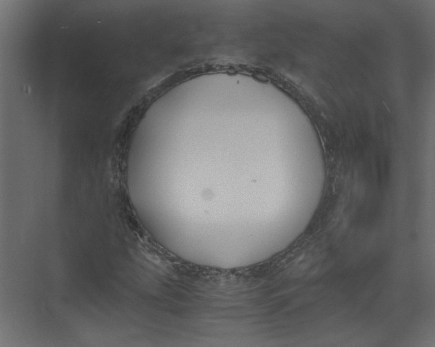 X0000073471207200608181322