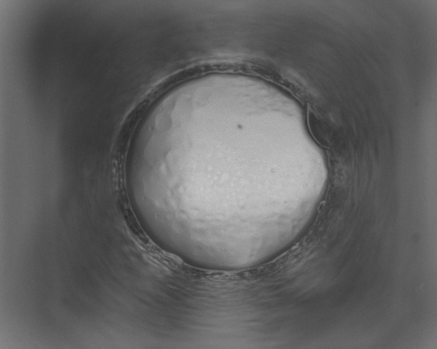 X0000073471208200608181322