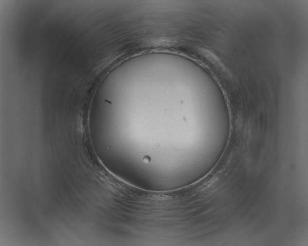 X0000073471209200608181322