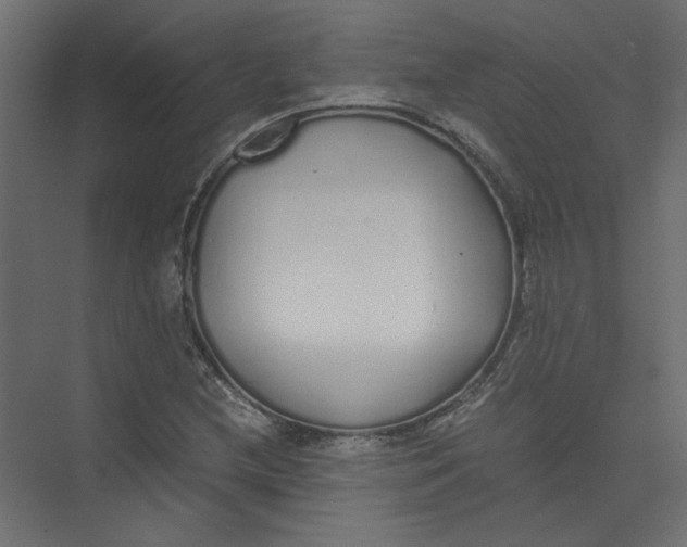 X0000073471212200608181322