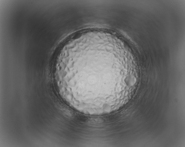 X0000073471215200608181322