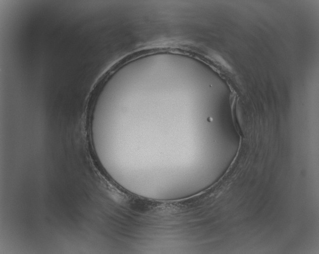 X0000073471216200608181322