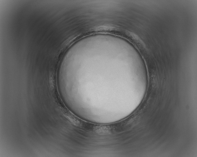 X0000073471217200608181322