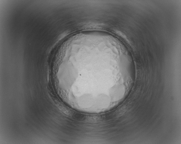 X0000073471219200608181322