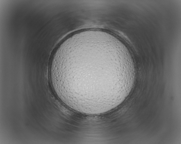 X0000073471220200608181322