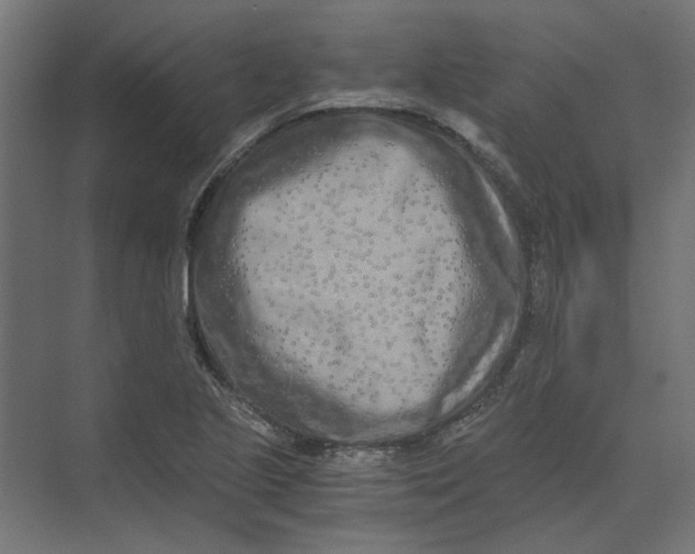 X0000073471221200608181322