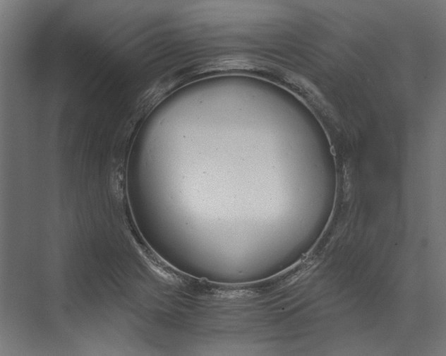 X0000073471225200608181322