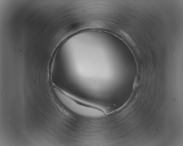 X0000073471226200608181322